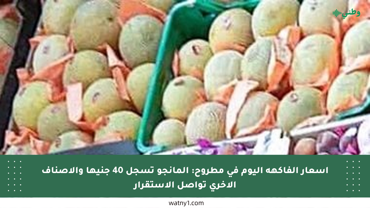 أسعار الفاكهة اليوم في مطروح: المانجو تسجل 40 جنيها والأصناف الأخرى تواصل الاستقرار